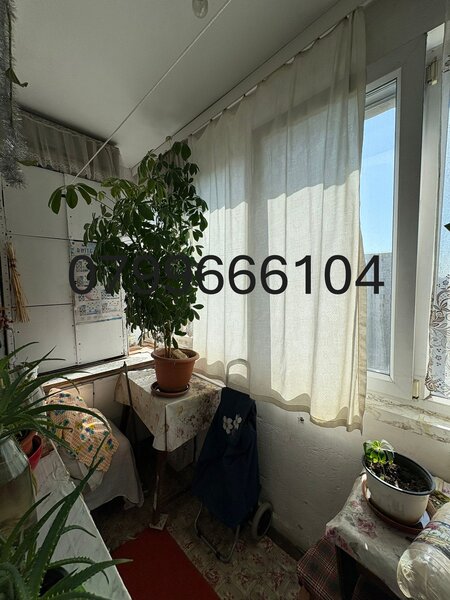 Obor, Colentina stradal vav Kafland 6 min metrou